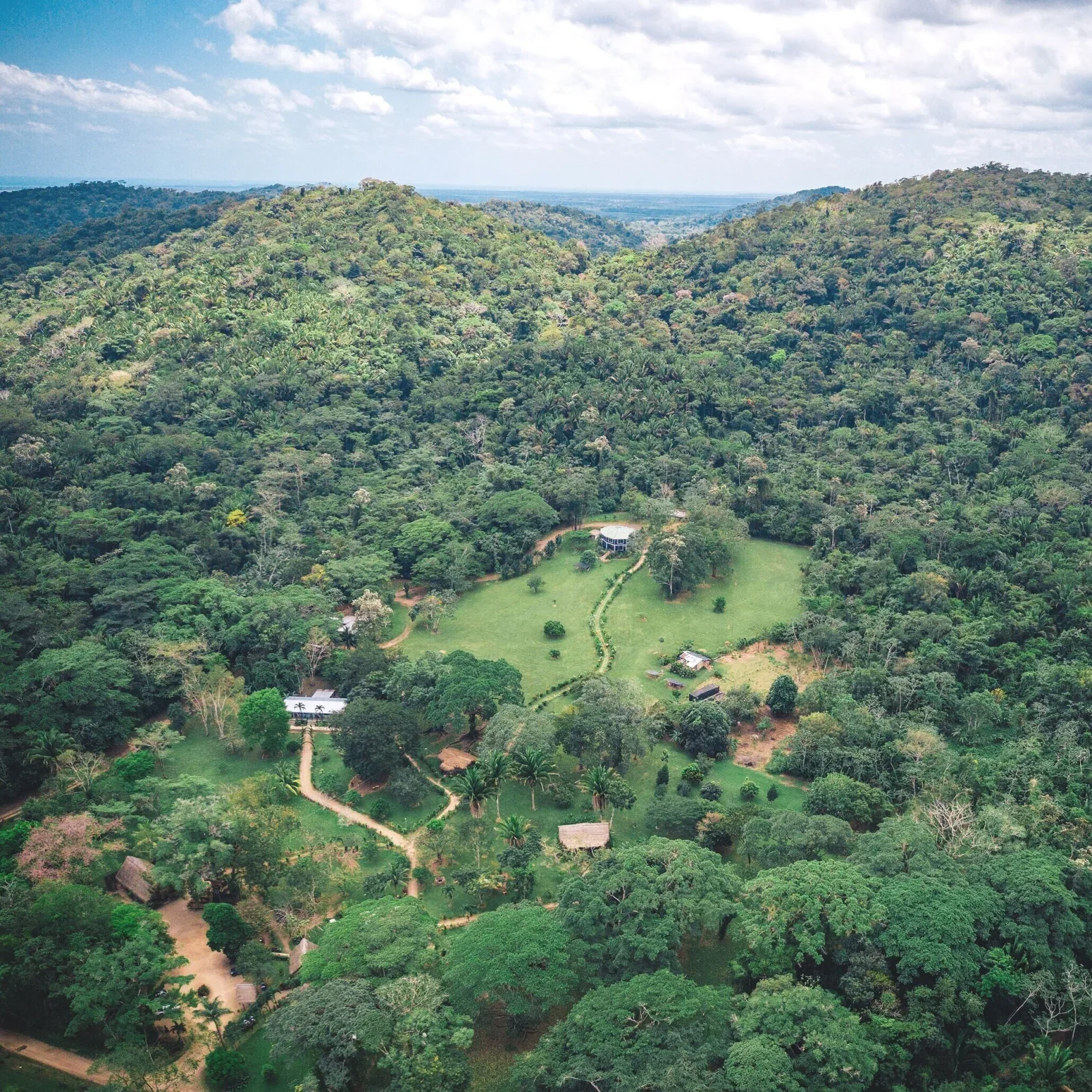 Aerial view of the rainforest at Mayflower Bocawina National Park